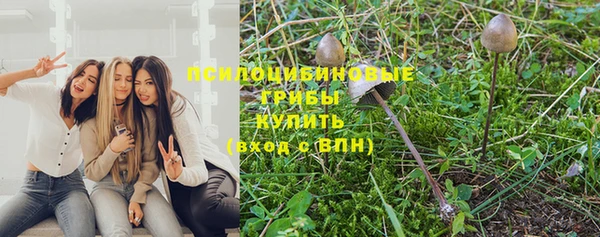ECSTASY Струнино