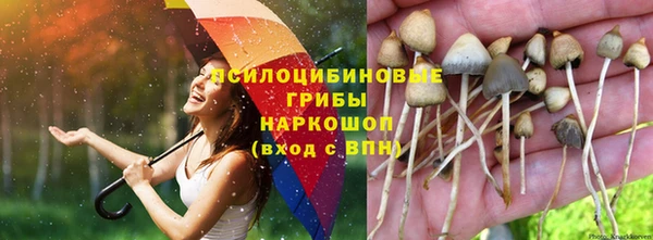 прущие крисы Сосновоборск